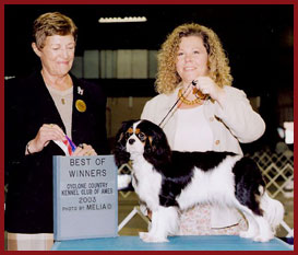 Saranade Cavalier King Charles Spaniels by breeder Penny Freberg Maggie first win at a AKC Show